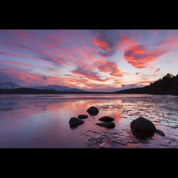 Meet your Posher, Valerie - Picture 2 of 7